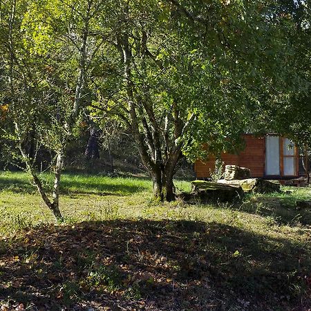 Agricampeggio Madonna Di Pogi Bucine Δωμάτιο φωτογραφία