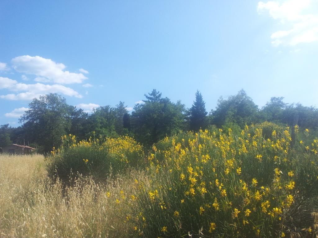 Agricampeggio Madonna Di Pogi Bucine Εξωτερικό φωτογραφία