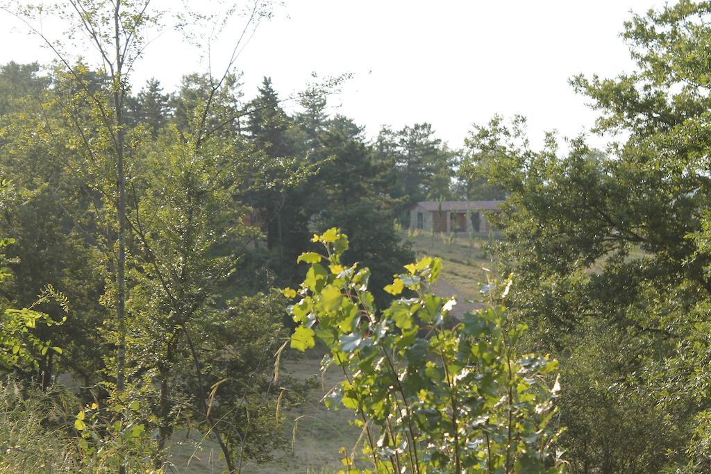 Agricampeggio Madonna Di Pogi Bucine Εξωτερικό φωτογραφία